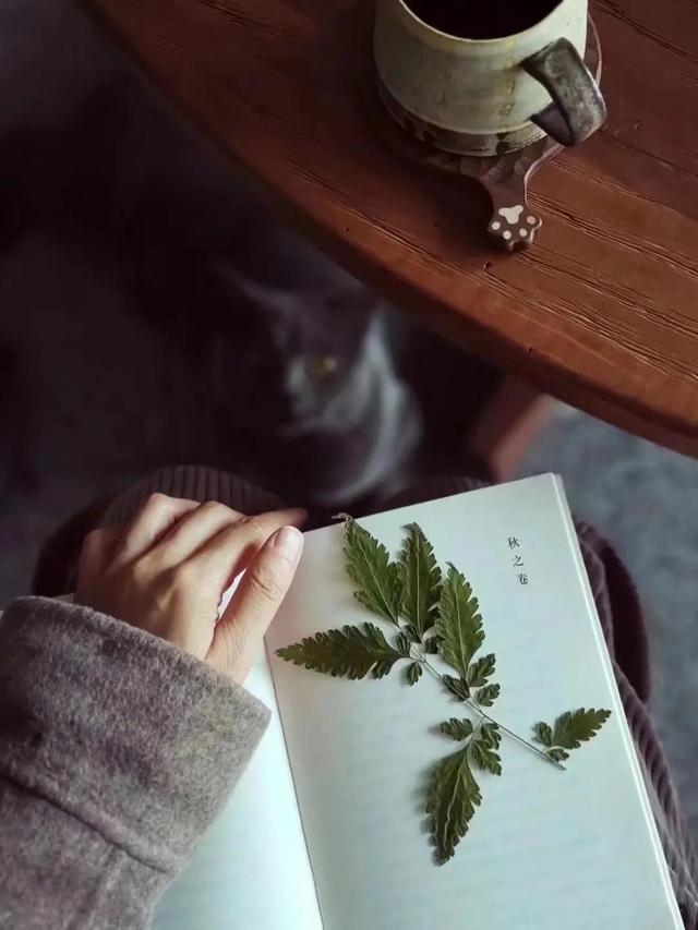 人生最高级的活法，是接受事与愿违