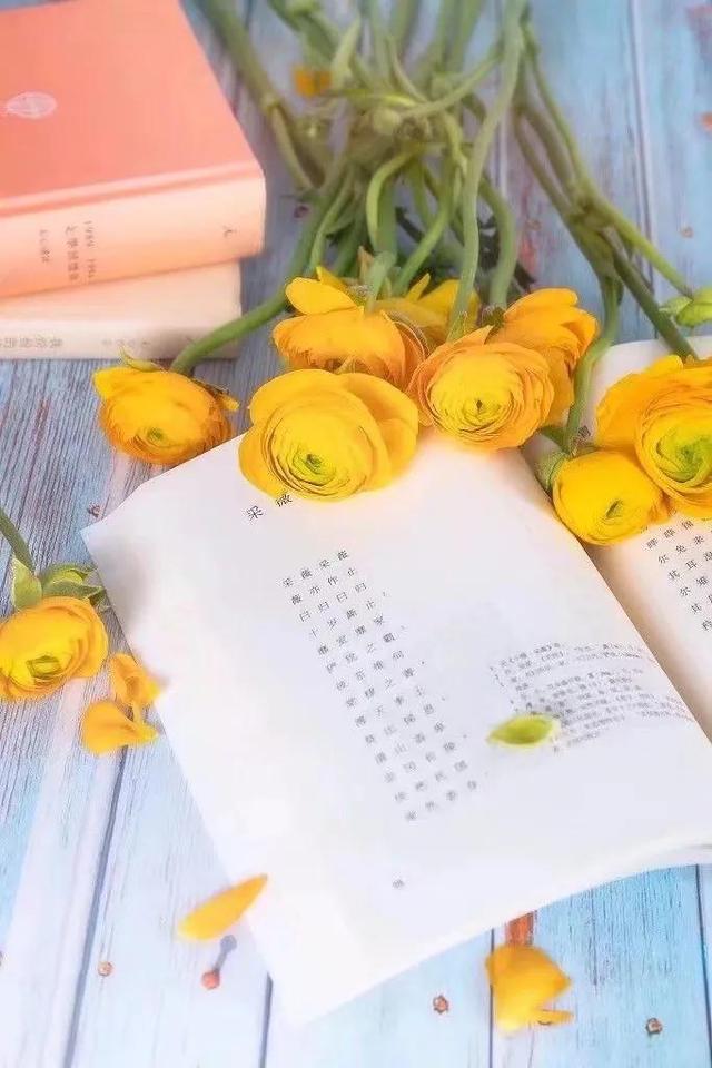 人生最高级的活法，是接受事与愿违