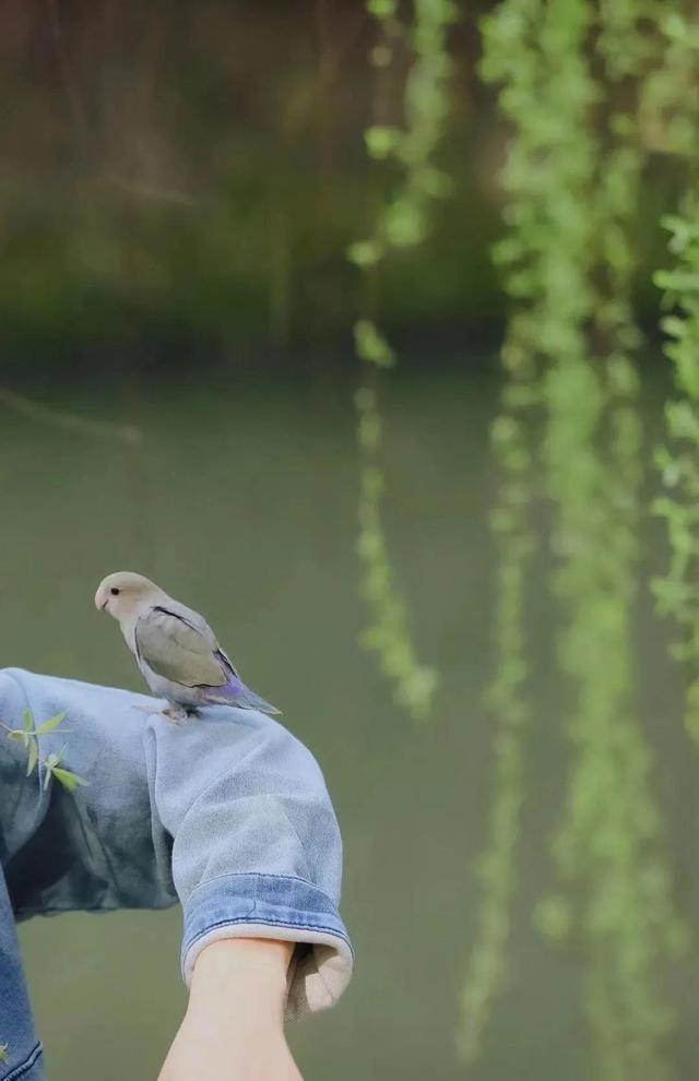 人生最高级的活法，是接受事与愿违