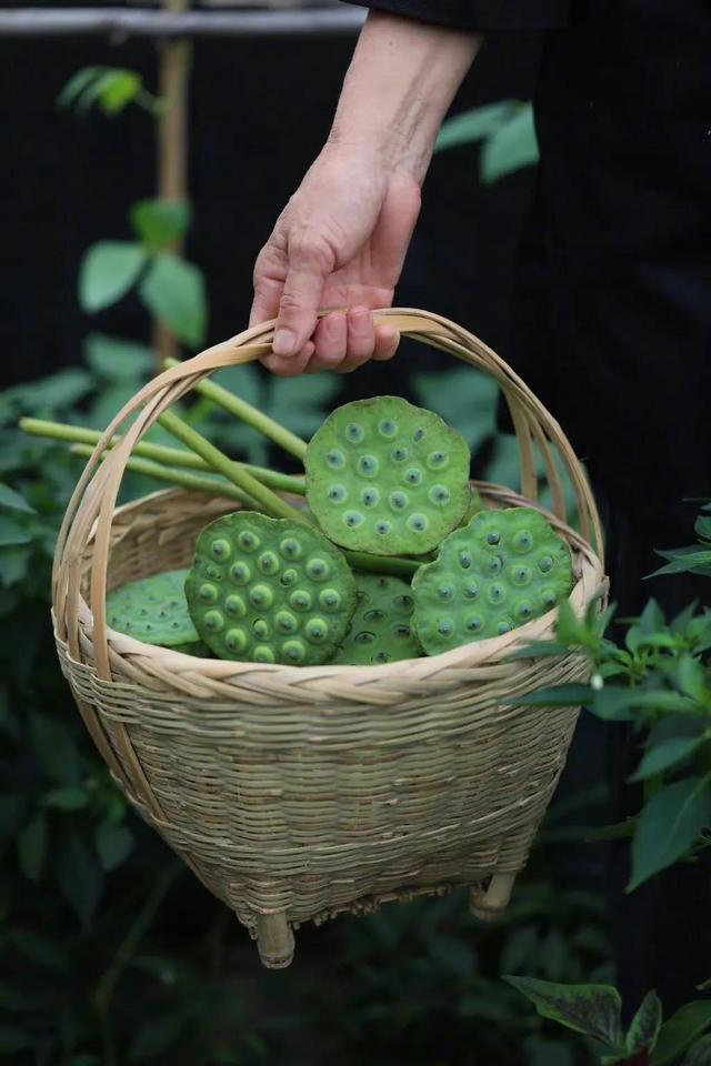 人生最高级的活法，是接受事与愿违