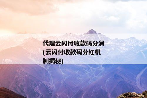 代理云闪付收款码分润(云闪付收款码分红机制揭秘)