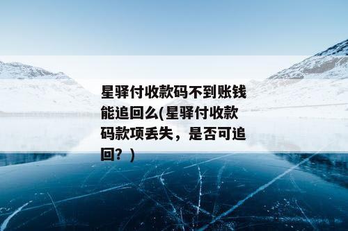 星驿付收款码不到账钱能追回么(星驿付收款码款项丢失，是否可追回？)