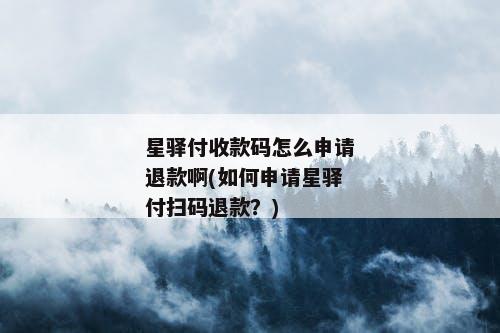 星驿付收款码怎么申请退款啊(如何申请星驿付扫码退款？)