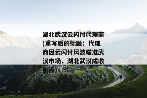 湖北武汉云闪付代理商(重写后的标题：代理商因云闪付风波瞄准武汉市场，湖北武汉成收割点)