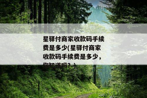 星驿付商家收款码手续费是多少(星驿付商家收款码手续费是多少，你知道吗？)