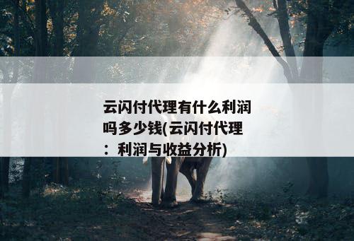 云闪付代理有什么利润吗多少钱(云闪付代理：利润与收益分析)