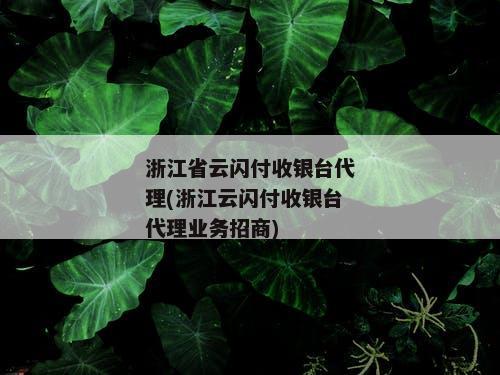 浙江省云闪付收银台代理(浙江云闪付收银台代理业务招商)