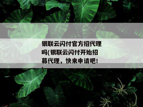 银联云闪付官方招代理吗(银联云闪付开始招募代理，快来申请吧！)