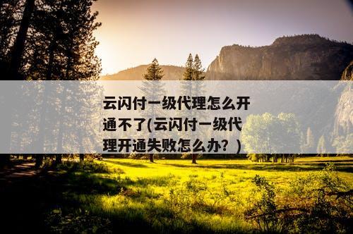 云闪付一级代理怎么开通不了(云闪付一级代理开通失败怎么办？)
