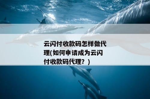 云闪付收款码怎样做代理(如何申请成为云闪付收款码代理？)