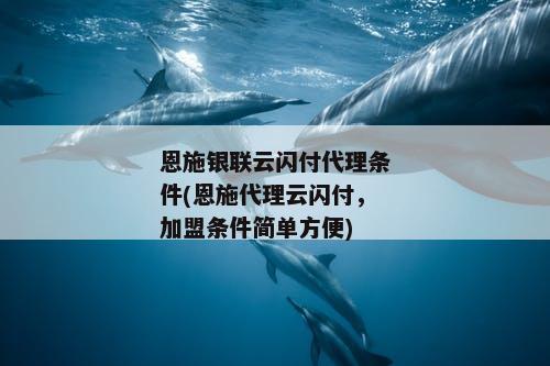 恩施银联云闪付代理条件(恩施代理云闪付，加盟条件简单方便)