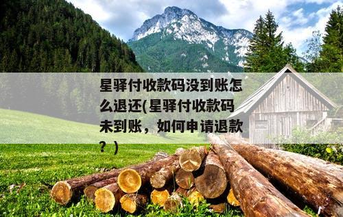 星驿付收款码没到账怎么退还(星驿付收款码未到账，如何申请退款？)