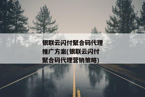 银联云闪付聚合码代理推广方案(银联云闪付聚合码代理营销策略)