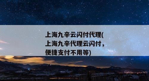 上海九辛云闪付代理(上海九辛代理云闪付，便捷支付不用等)
