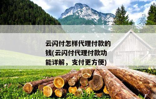 云闪付怎样代理付款的钱(云闪付代理付款功能详解，支付更方便)