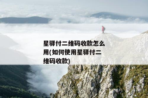 星驿付二维码收款怎么用(如何使用星驿付二维码收款)