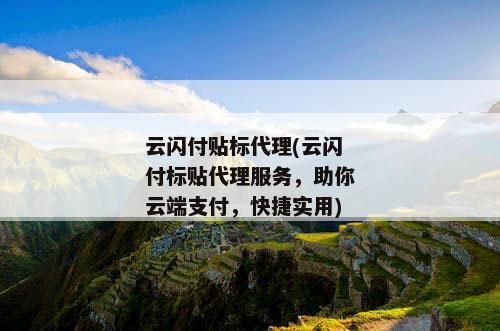 云闪付贴标代理(云闪付标贴代理服务，助你云端支付，快捷实用)