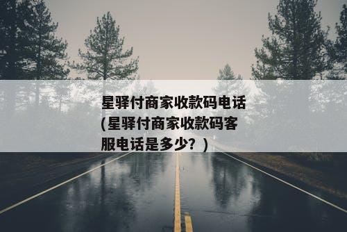 星驿付商家收款码电话(星驿付商家收款码客服电话是多少？)
