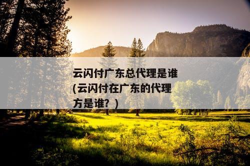 云闪付广东总代理是谁(云闪付在广东的代理方是谁？)