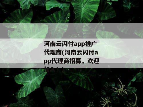 河南云闪付app推广代理商(河南云闪付app代理商招募，欢迎加入！)