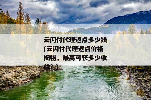 云闪付代理返点多少钱(云闪付代理返点价格揭秘，最高可获多少收益？)