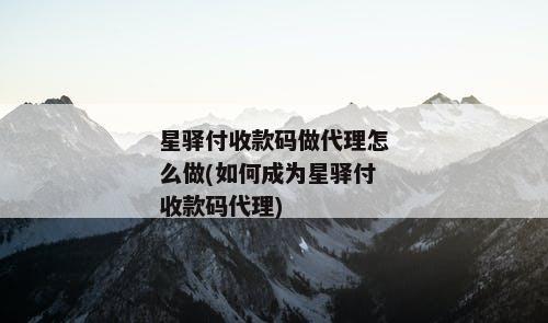 星驿付收款码做代理怎么做(如何成为星驿付收款码代理)