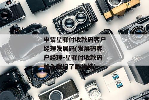 申请星驿付收款码客户经理发展码(发展码客户经理-星驿付收款码加入我们了解详情)
