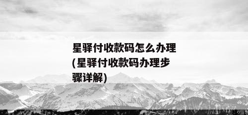 星驿付收款码怎么办理(星驿付收款码办理步骤详解)