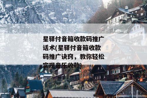 星驿付音箱收款码推广话术(星驿付音箱收款码推广诀窍，教你轻松实现音乐收款)