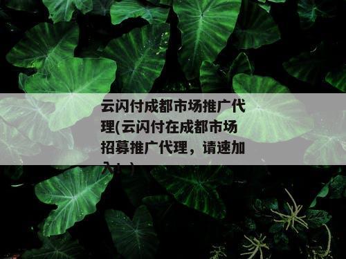 云闪付成都市场推广代理(云闪付在成都市场招募推广代理，请速加入！)