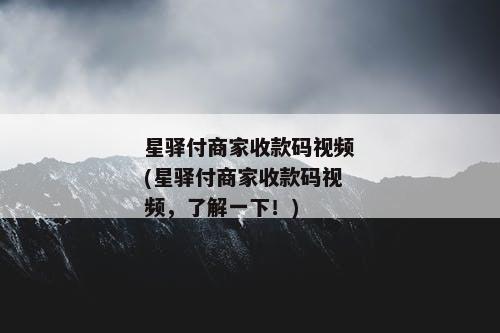 星驿付商家收款码视频(星驿付商家收款码视频，了解一下！)