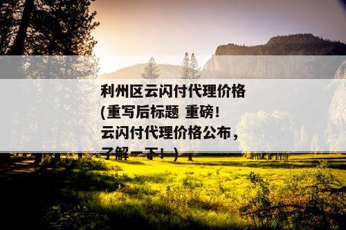 利州区云闪付代理价格(重写后标题 重磅！云闪付代理价格公布，了解一下！)