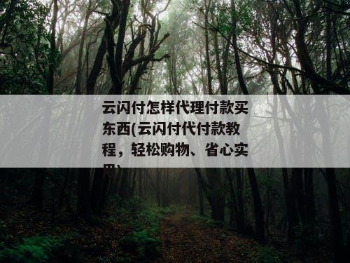 云闪付怎样代理付款买东西(云闪付代付款教程，轻松购物、省心实用)