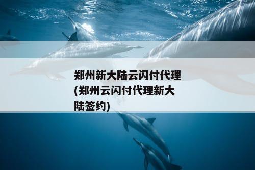 郑州新大陆云闪付代理(郑州云闪付代理新大陆签约)