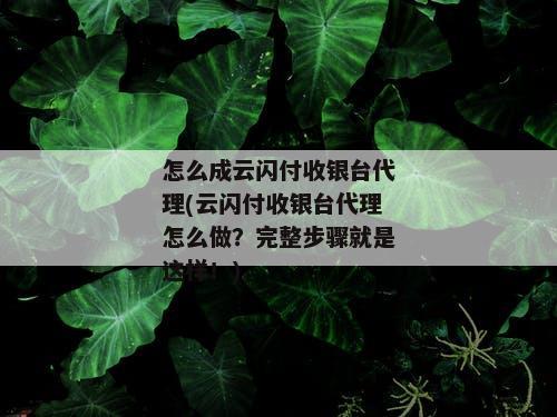 怎么成云闪付收银台代理(云闪付收银台代理怎么做？完整步骤就是这样！)