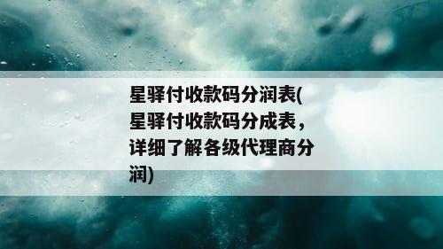 星驿付收款码分润表(星驿付收款码分成表，详细了解各级代理商分润)