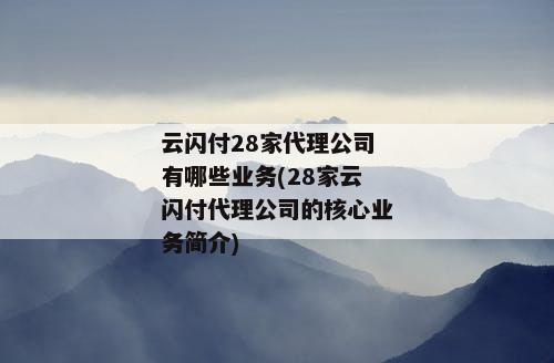 云闪付28家代理公司有哪些业务(28家云闪付代理公司的核心业务简介)