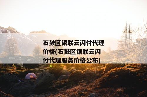 石鼓区银联云闪付代理价格(石鼓区银联云闪付代理服务价格公布)