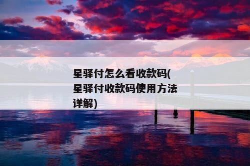 星驿付怎么看收款码(星驿付收款码使用方法详解)