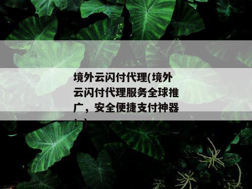 境外云闪付代理(境外云闪付代理服务全球推广，安全便捷支付神器！)