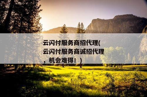 云闪付服务商招代理(云闪付服务商诚招代理，机会难得！)