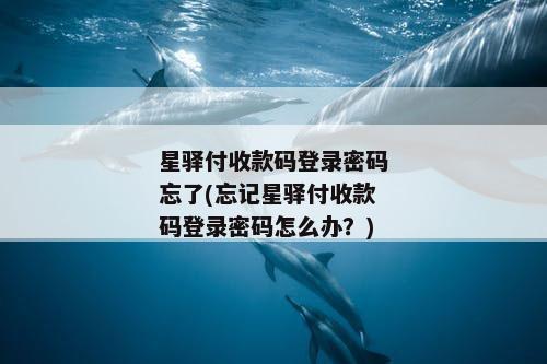 星驿付收款码登录密码忘了(忘记星驿付收款码登录密码怎么办？)