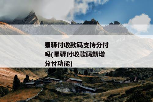 星驿付收款码支持分付吗(星驿付收款码新增分付功能)