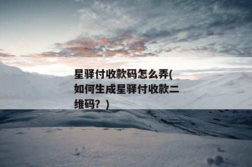 星驿付收款码怎么弄(如何生成星驿付收款二维码？)