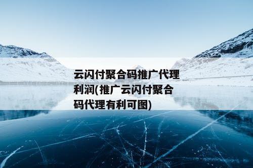云闪付聚合码推广代理利润(推广云闪付聚合码代理有利可图)