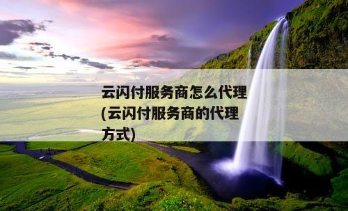 云闪付服务商怎么代理(云闪付服务商的代理方式)