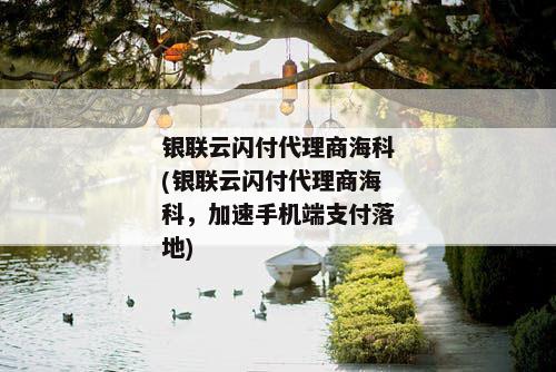 银联云闪付代理商海科(银联云闪付代理商海科，加速手机端支付落地)