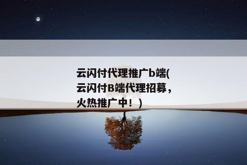 云闪付代理推广b端(云闪付B端代理招募，火热推广中！)