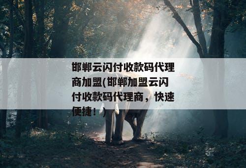 邯郸云闪付收款码代理商加盟(邯郸加盟云闪付收款码代理商，快速便捷！)