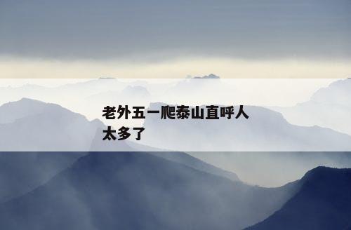 老外五一爬泰山直呼人太多了